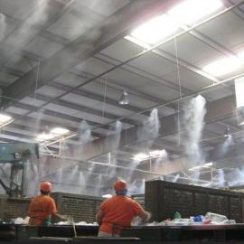 植物型除臭劑圖片